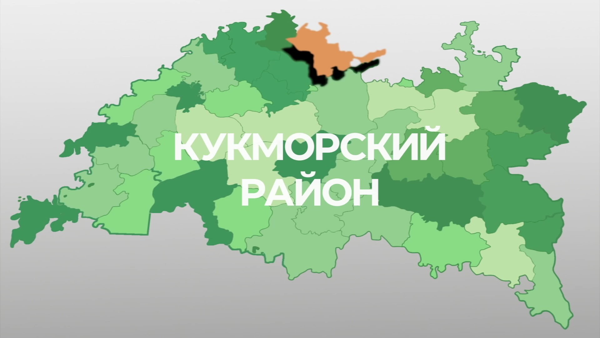 Кукморский район